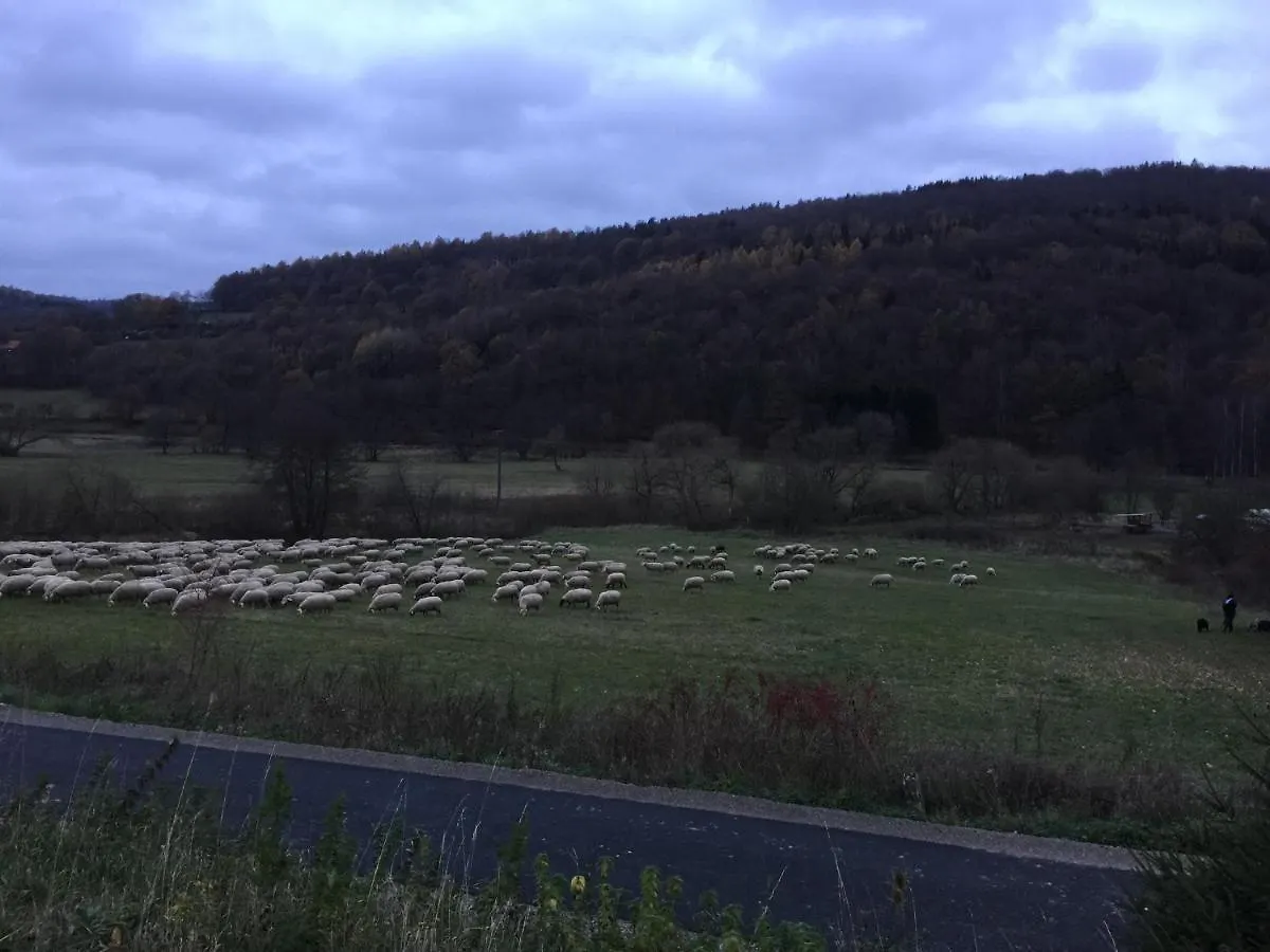 Landhotel Weisses Ross Garni Bad Brueckenau 3*,  Germany